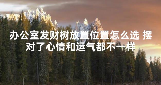 办公室发财树放置位置怎么选 摆对了心情和运气都不一样